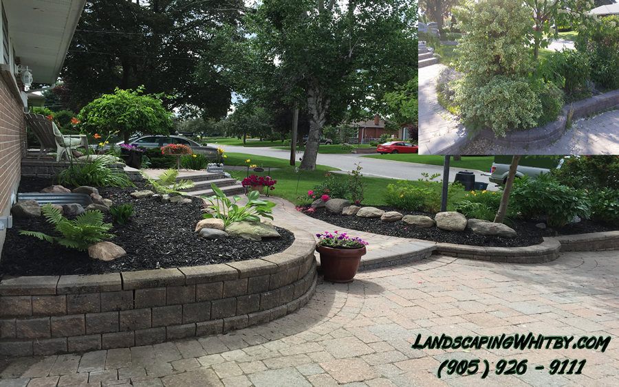 front garden bed